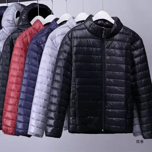 Cheap and Lightweight Warmth Puffer Jacket with Custom Logo, Made of Polyester, Stand Collar and Hooded, Thickened Winter Men's Outerwear - Image 2